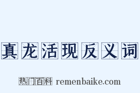真龙活现反义词是什么意思的图片